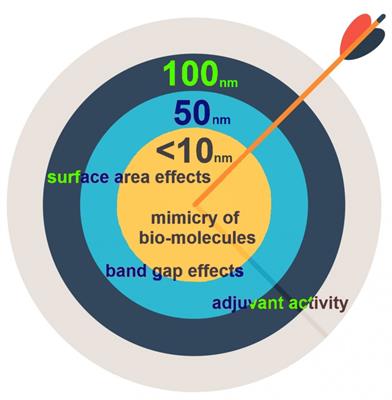 Editorial: Modulation of the immune system by nanoparticles